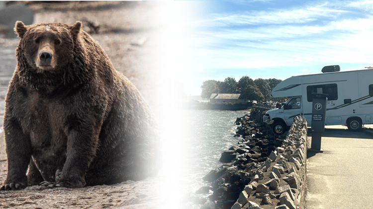 fat bear and rv crash